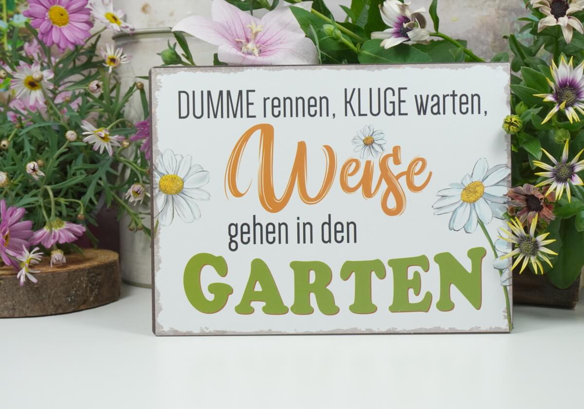 Deko Blechschild Dumme rennen, Kluge warten, Weise gehen in den Garten