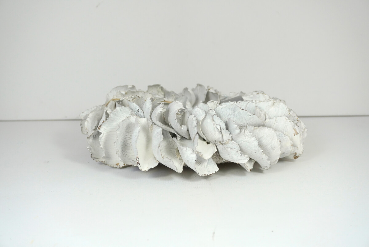 Couronne Palmkranz Naturkranz Palm Petal Wreath getrocknet White 25cm ∅