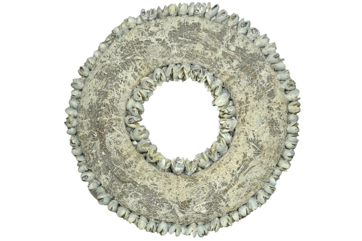 Couronne Wandkranz Naturkranz Bakuli Wreath White Wash 40 ∅