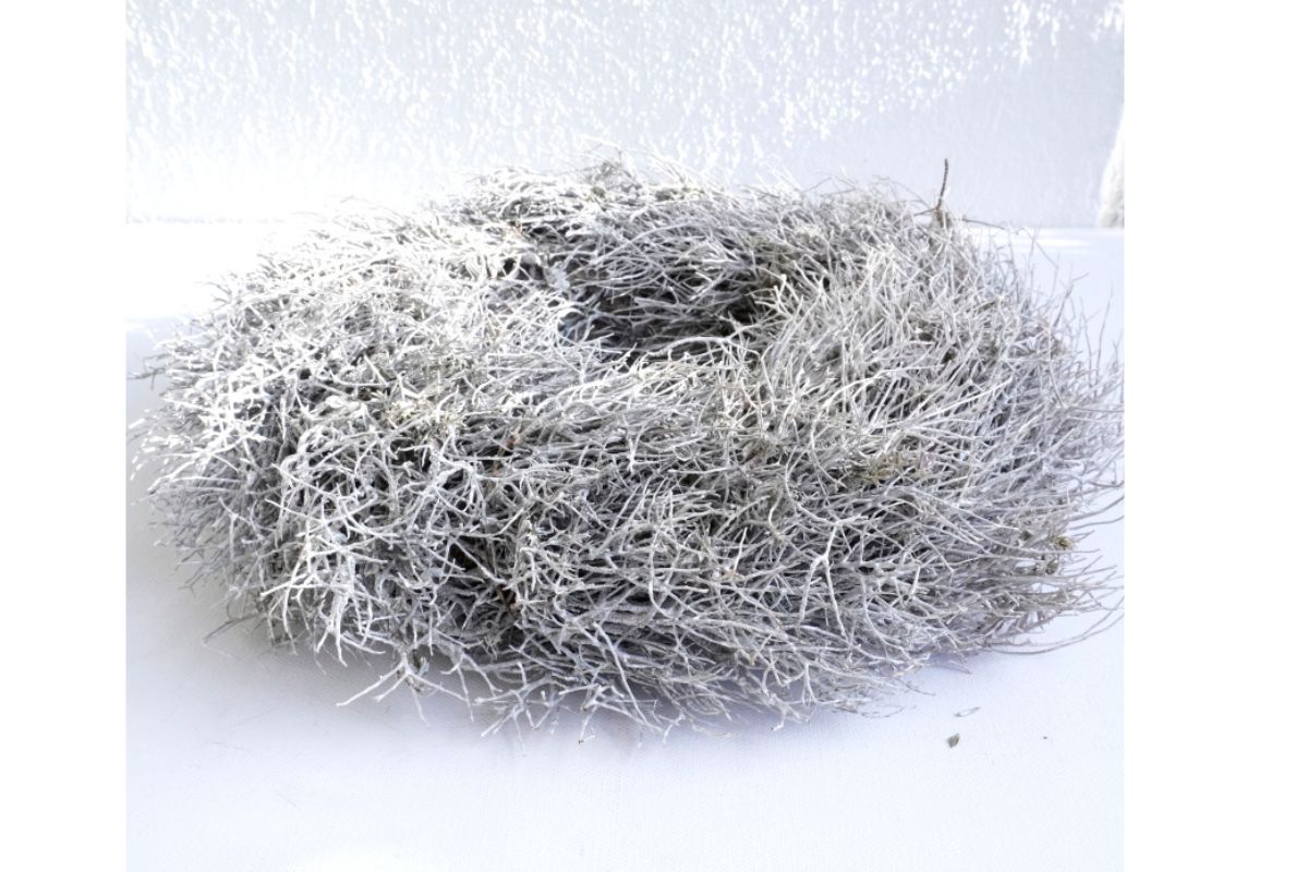 Deko Kranz Herbstkranz Reisigkranz Naturgetrocknet Weiß 29∅